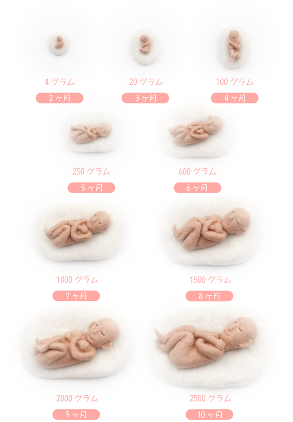 9体の胎児人形